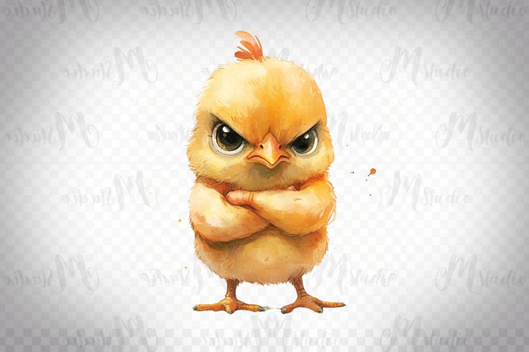 Grumpy Chick - Watercolor Bird Clipart PNG example image 1