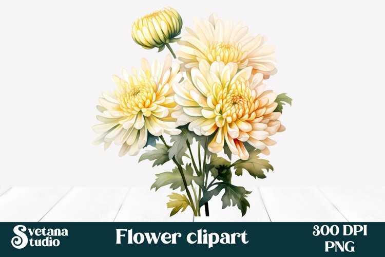 Chrysanthemums clipart PNG | Flower clipart example image 1