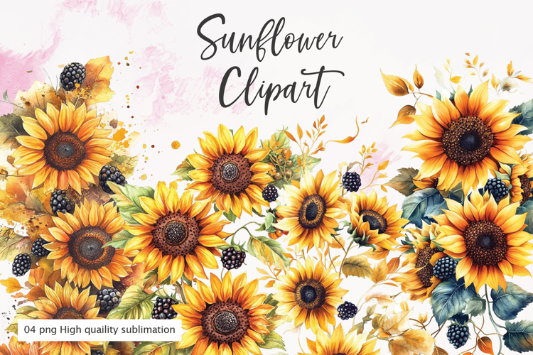 Sunflower PNG Image 21