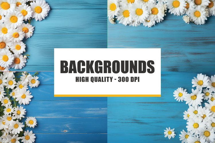 Daisy flowers on blue wooden background spring digital paper