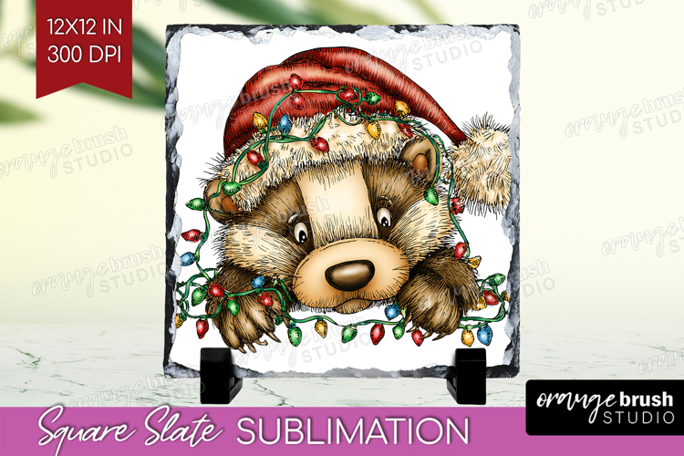 Badger Clipart Image 6