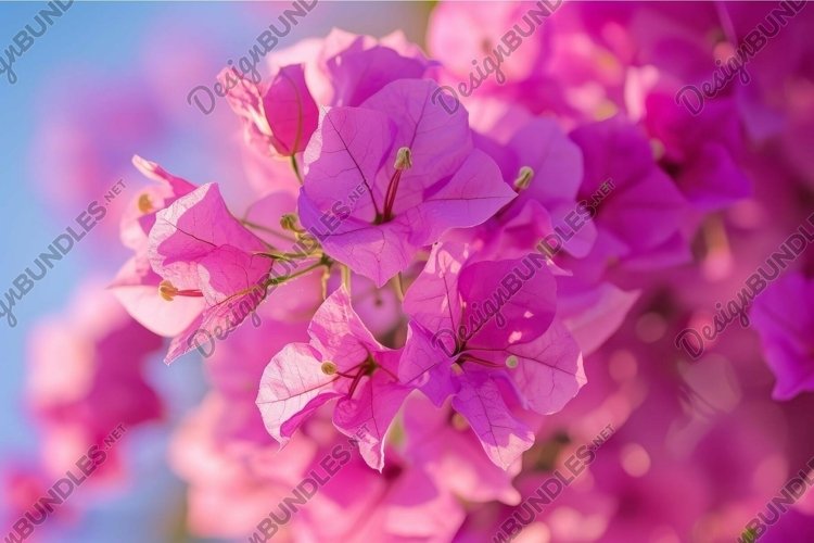 Spring Clipart Image 4