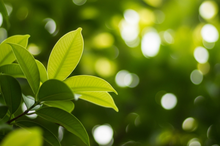 Neon Lights Background Image 9