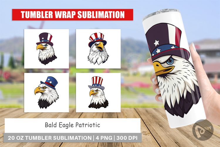 Bald Eagle Clipart Image 9