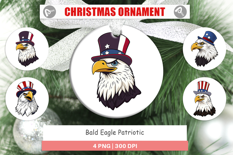 Bald Eagle Clipart Image 21