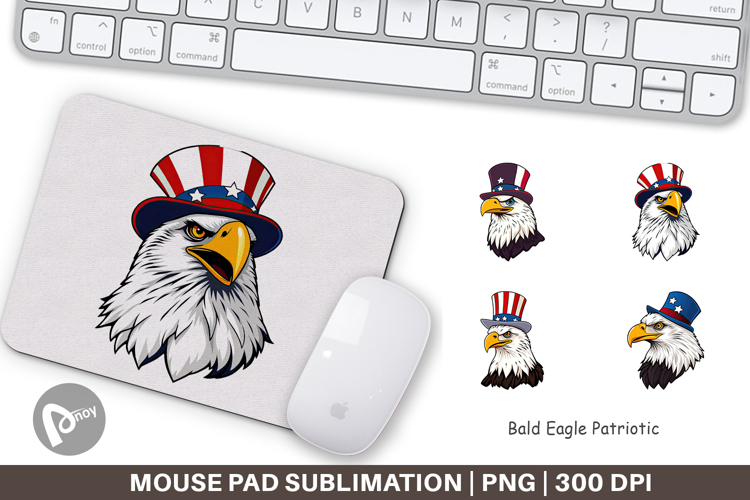 Bald Eagle Clipart Image 14