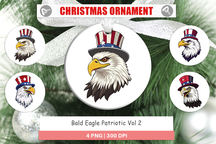 Bald Eagle Clipart Image 20