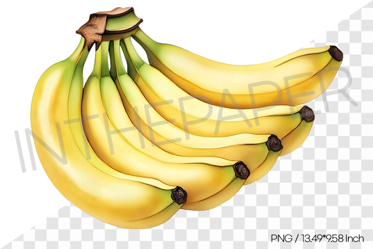 Fruit Vector Image 6
