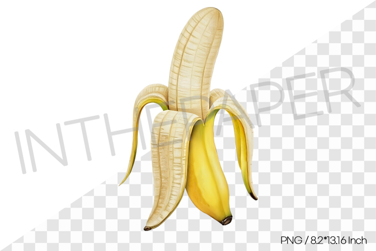 Fruit Vector Image 4