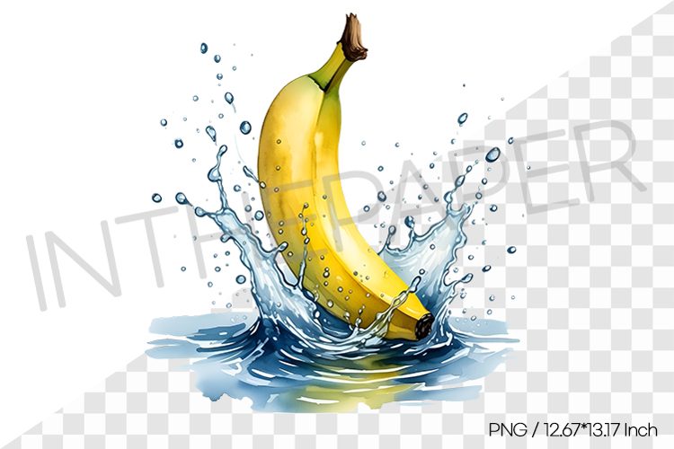 Fruit Vector Image 16