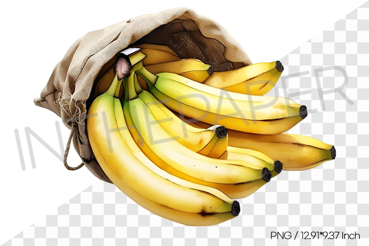 Fruit Vector Image 14