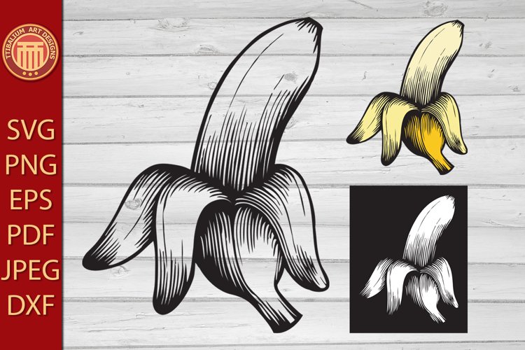 Banana Illustration Image 12