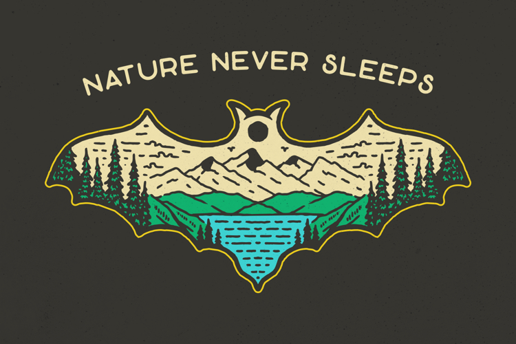 Nature Never Sleeps