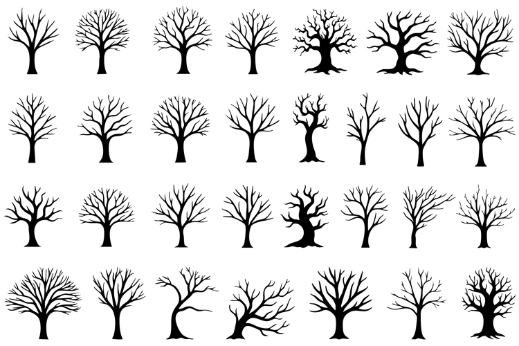 Dead Tree Png Image 19