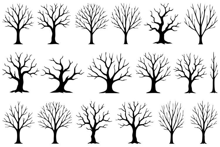 Dead Tree Png Image 20