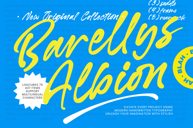Barellys Albion - Modern Handwritten Typography