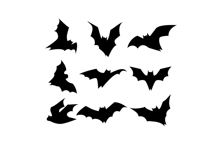 Bat Cartoon Image 4