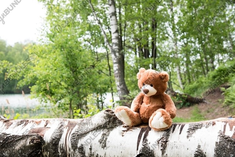 A Teddy bear on summer picnic. example image 1