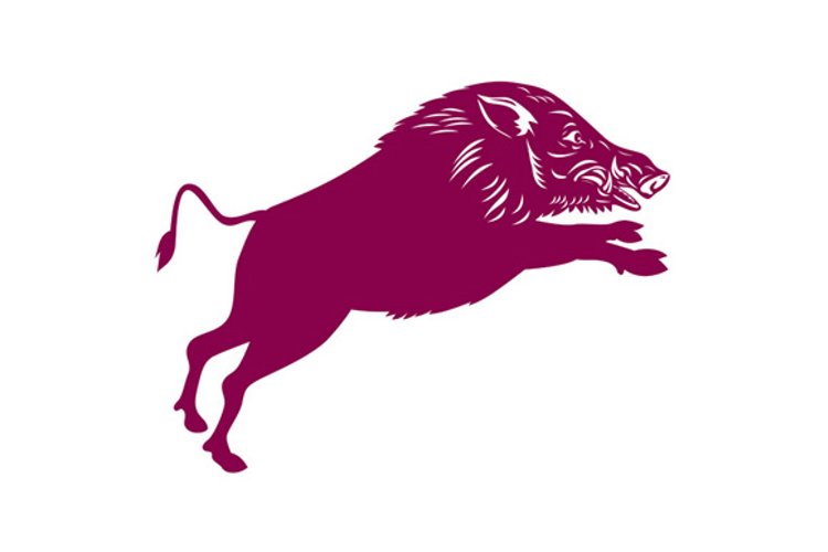 Pig Clipart Image 9