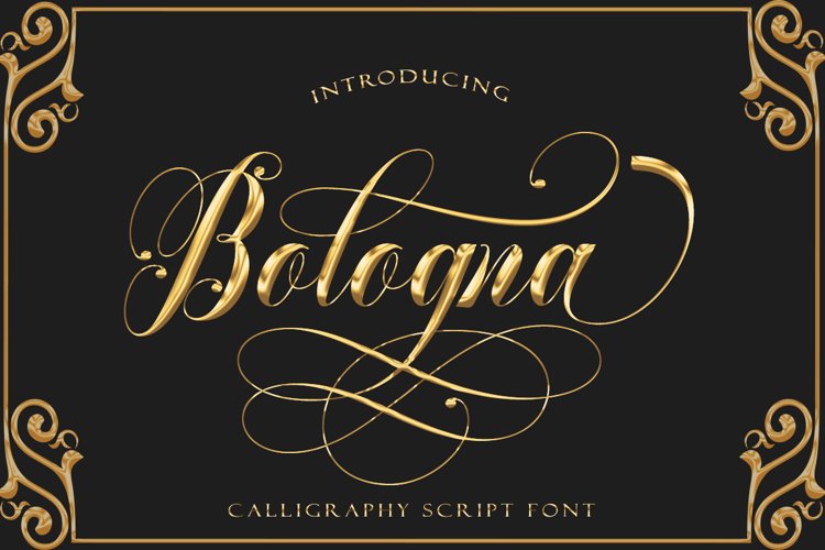 Bithany & Bologna example image 1