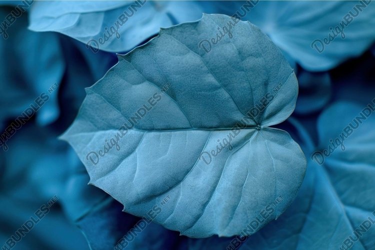 Leaf Texture Image 2