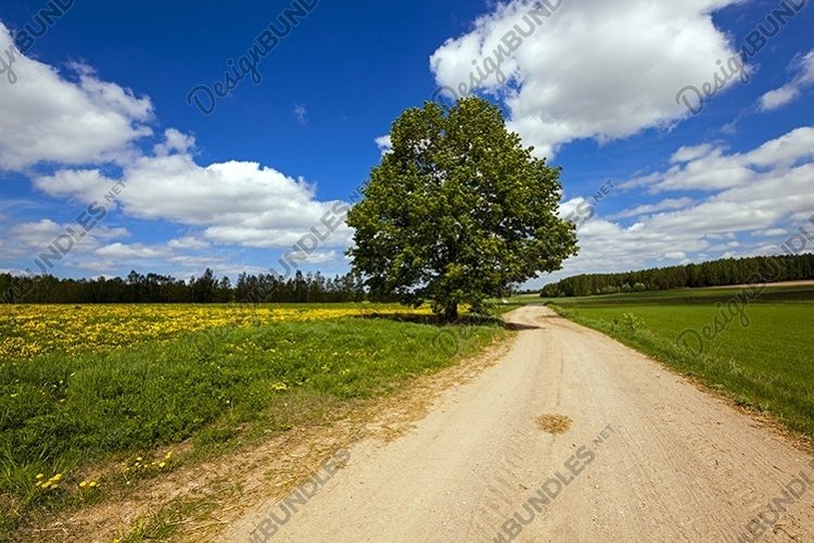 Spring Clipart Image 4