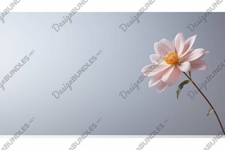 Gradient Background Image 4