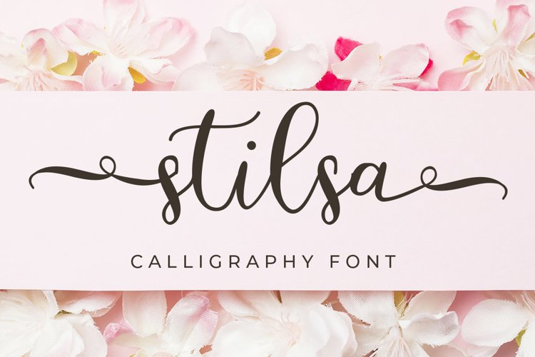 Stilsa - Sweet Calligraphy Font example image 1