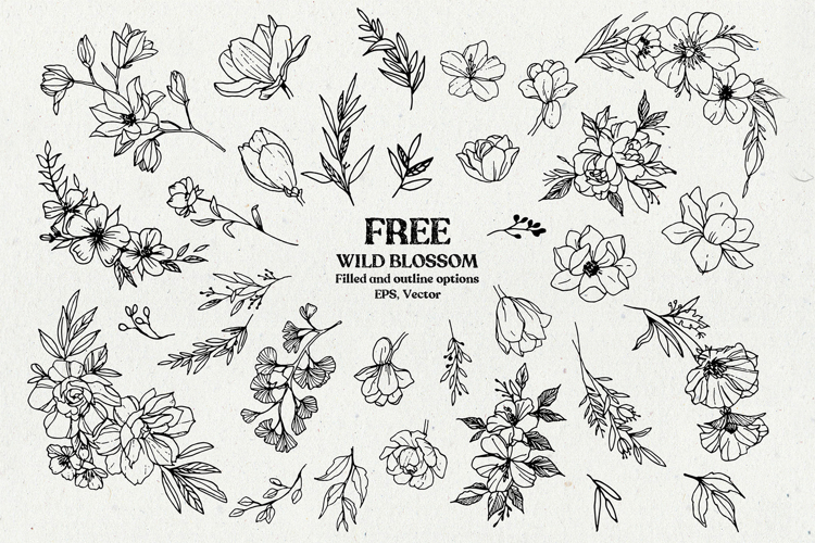 Wild Blossom - Hand sketched Floral   Botanical elements