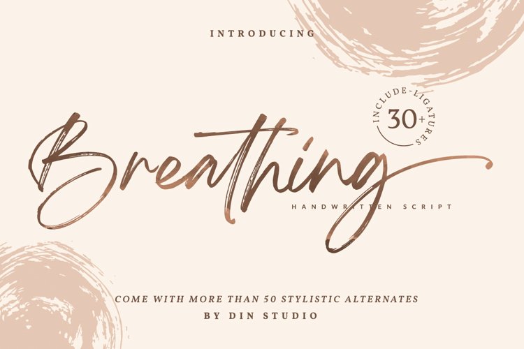 Breathing - Brush Signature Font example image 1