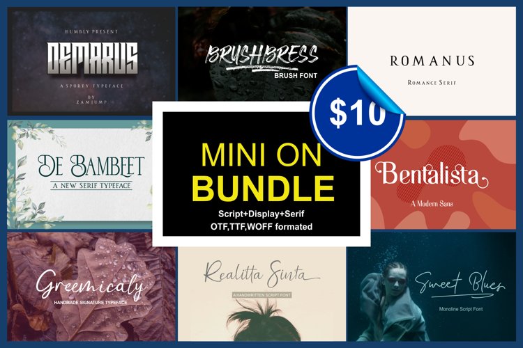 Mini on Bundle example image 1