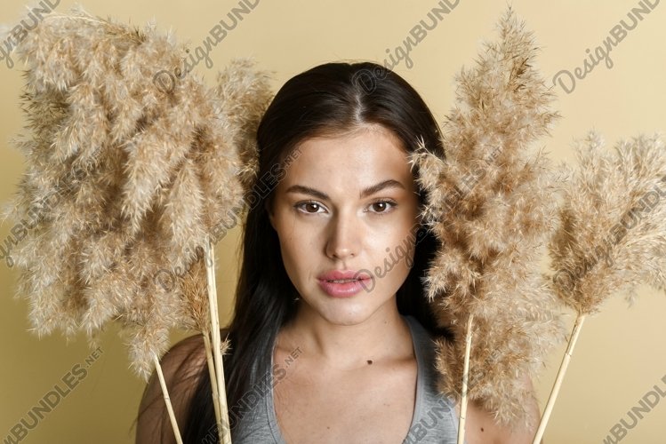 Dry Clipart Image 2