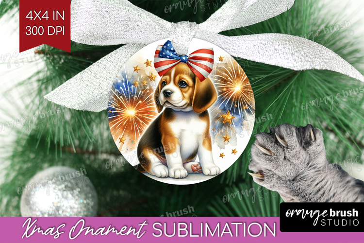 Ornament Png Image 3