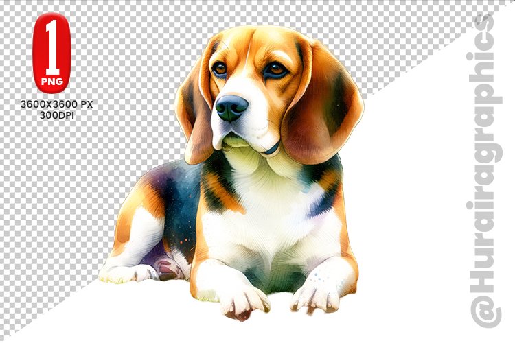 Beagle dog Clipart - PNG File
