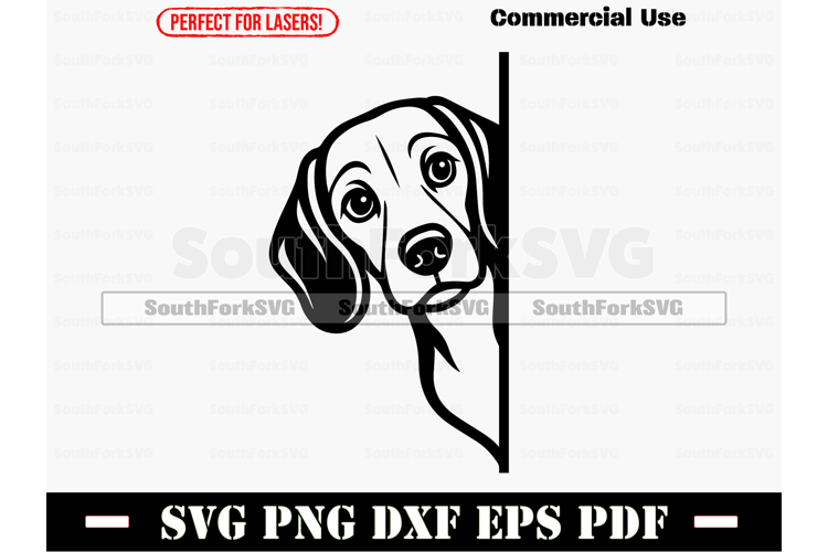 Beagle Dog Svg Image 20