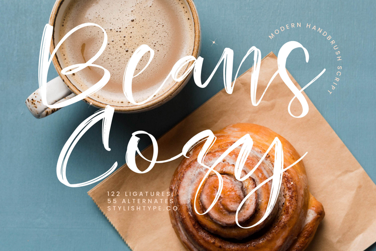 Beans Cozy - Modern Handbrush Script