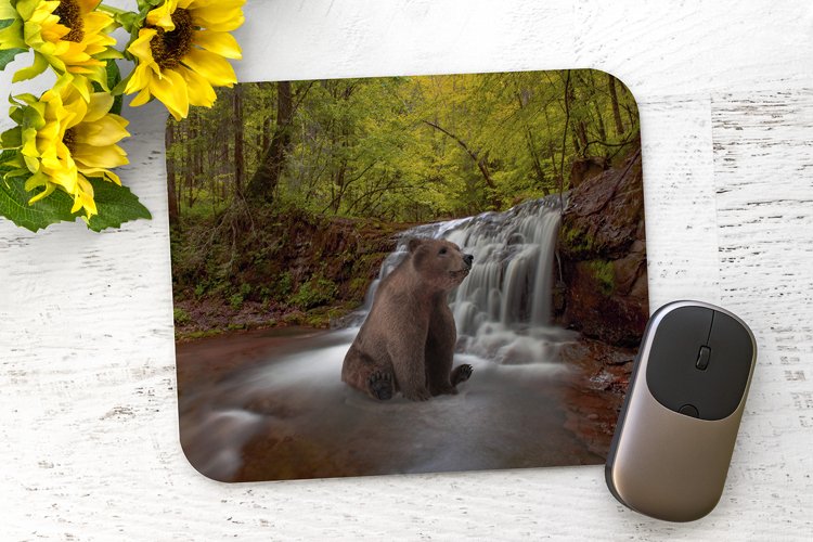 Bear Clipart Image 18