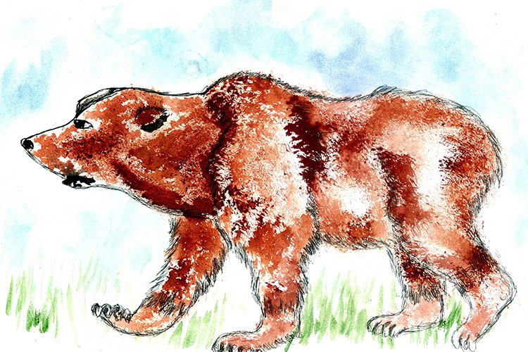Bear Watercolor