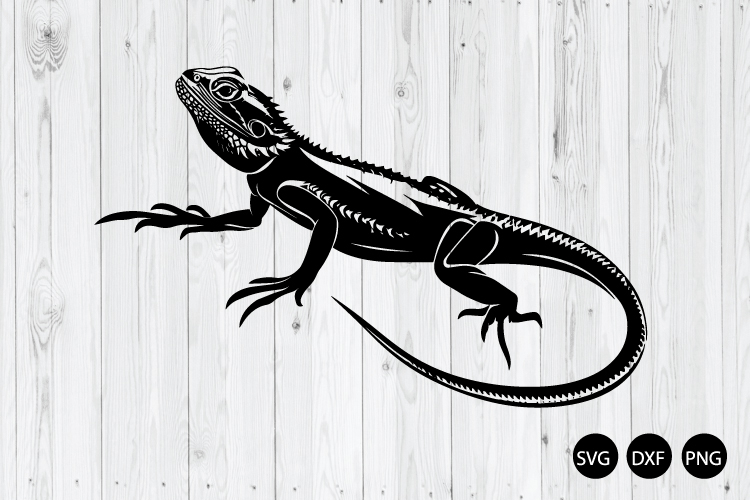 Bearded Dragon Svg