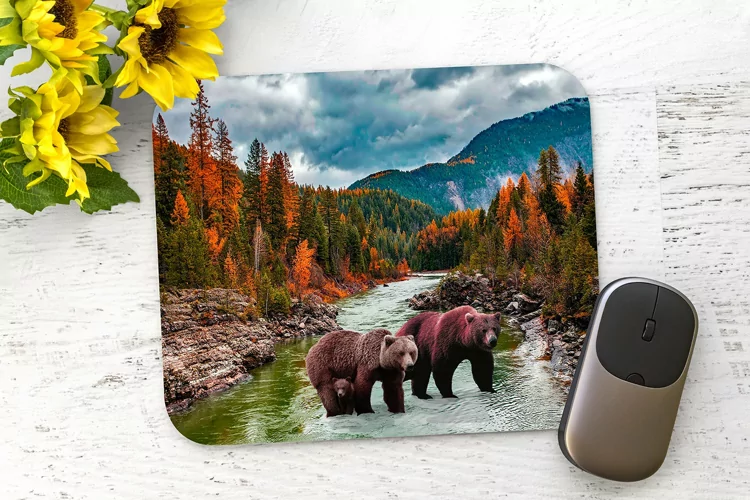 Bears In Creek - Mouse Pad Design- PhotoShop Design