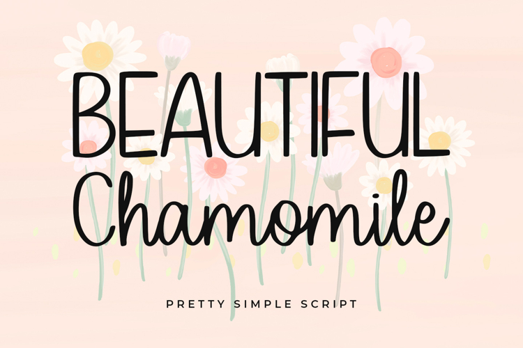 Lettering Schriftarten Image 6