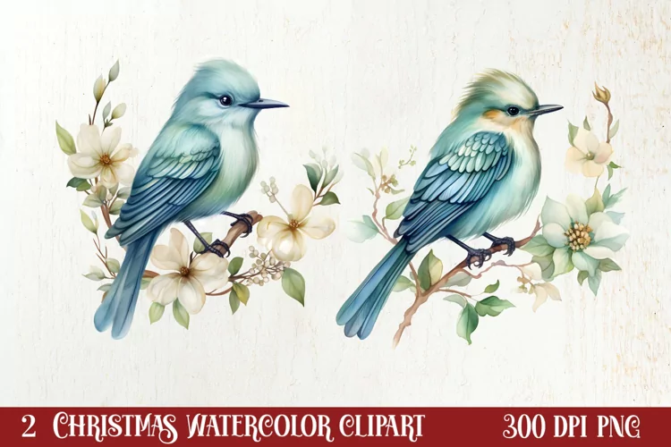 Beautiful Christmas Sublimation Clipart, Christmas PNG