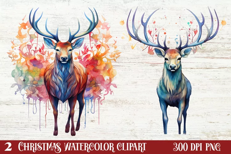 Beautiful Christmas Watercolor Clipart, Beautiful Christmas