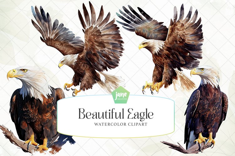 Eagle Clipart Image 17