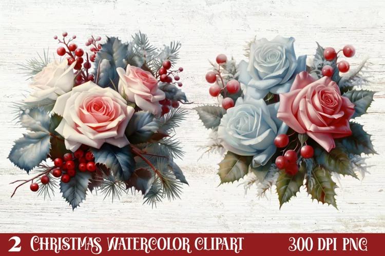 Beautiful Winter Roses Clipart, Christmas Rose Clipart