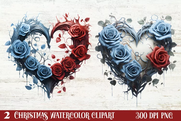 Beautiful Winter Roses Clipart, Christmas Rose Clipart
