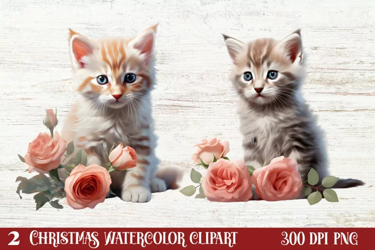 Beautiful Winter Roses Clipart, Christmas Rose Clipart