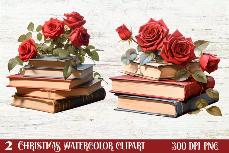 Beautiful Winter Roses Clipart, Christmas Rose Clipart