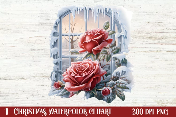 Beautiful Winter Roses Clipart, Christmas Rose Clipart