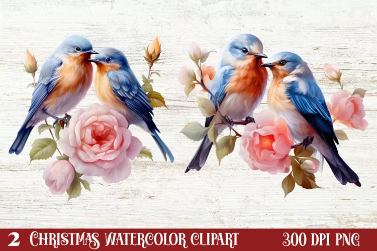 Beautiful Winter Roses Clipart, Christmas Rose Clipart
